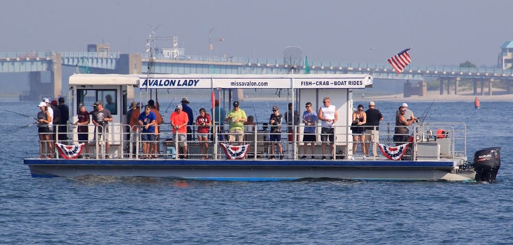 Bay Days: How to Spend a Summer Day on the Water in Avalon and Stone Harbor