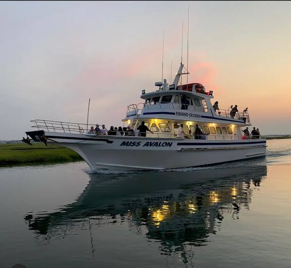 Bay Days: How to Spend a Summer Day on the Water in Avalon and Stone Harbor