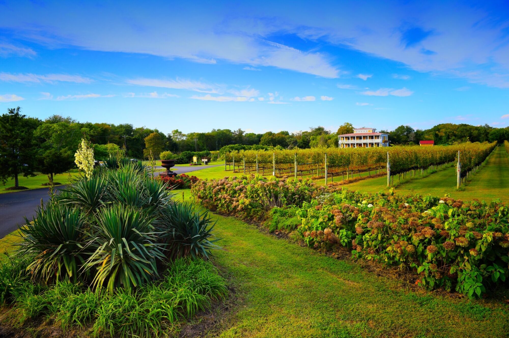 Brewery and Winery Crawl Near Avalon and Stone Harbor